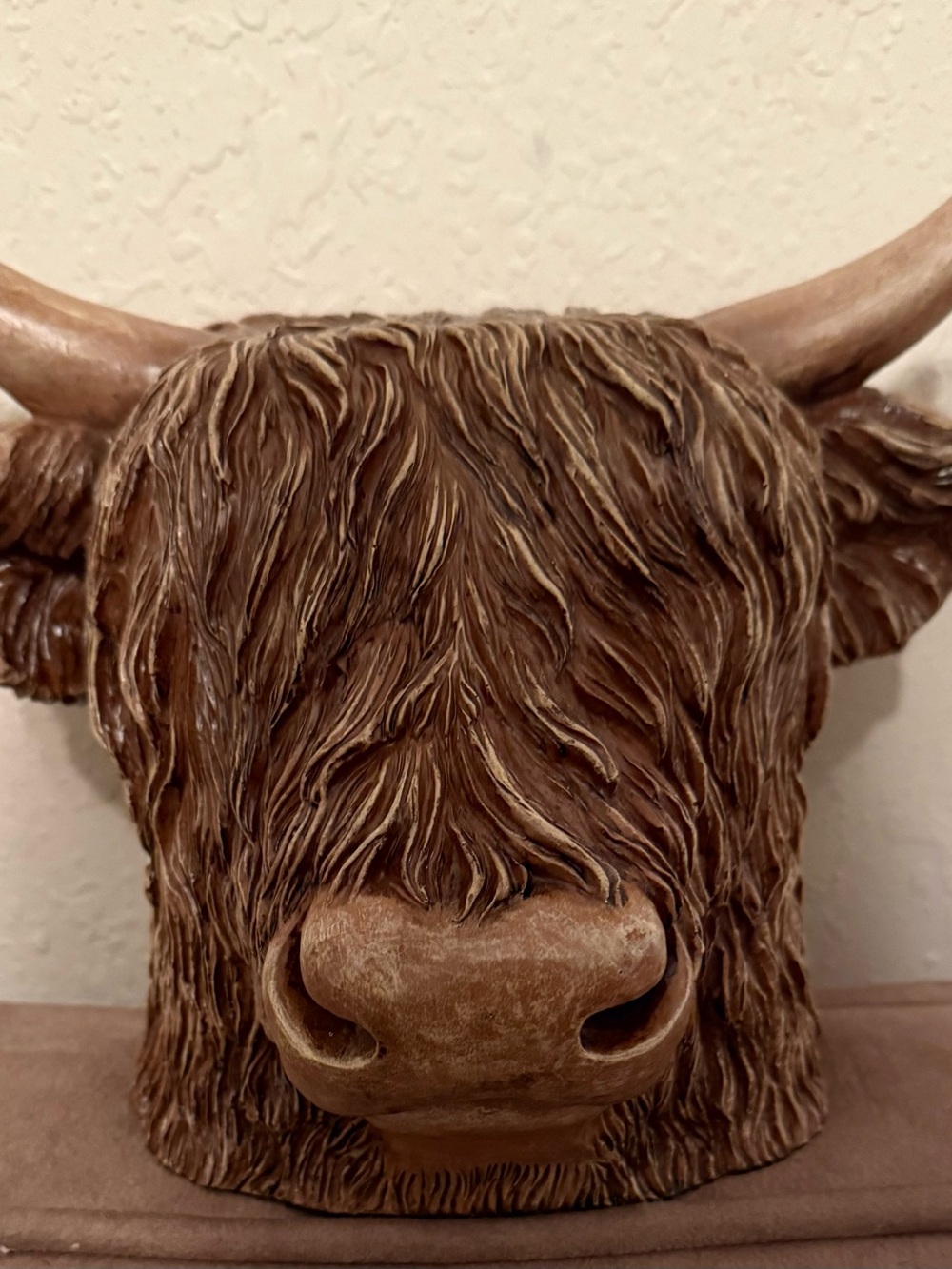 Hobby Lobby Brown Highland Cow tissue box cover Head